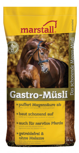 Spoedig Monarchie Distilleren Marstall Gastro-Muesli - 20 kg | Van Breden | Voor al uw agrarische  benodigdheden