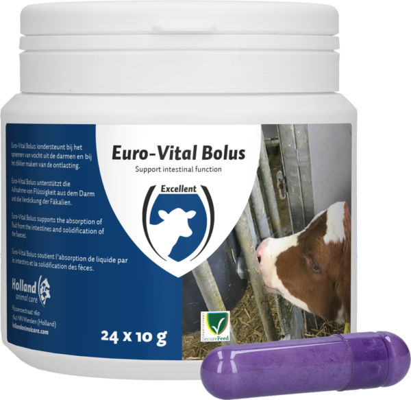 Euro-Vital Bolus