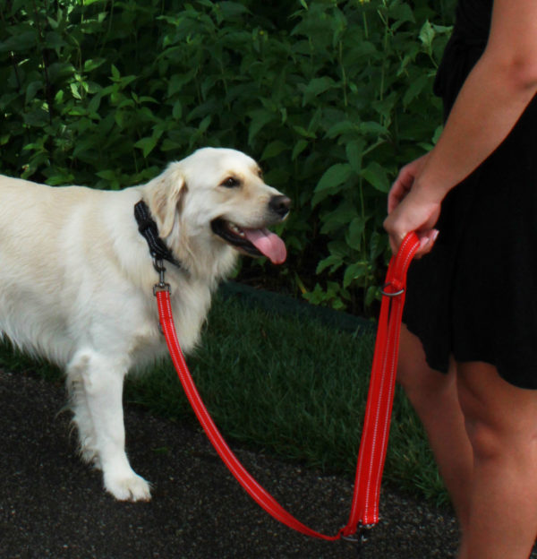 KONG Adjustable leash M Red - Afbeelding 3