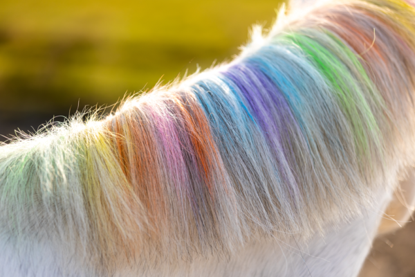 Lucky Horse Unicorn regenboog kleurkrijt - Afbeelding 2