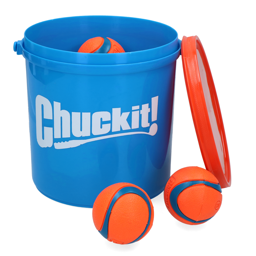 Chuckit!® Bucket - Medium Size 8 Pack With Cleaning Bucket