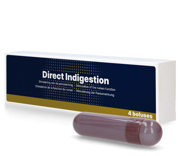 Direct Indigestie Bolus