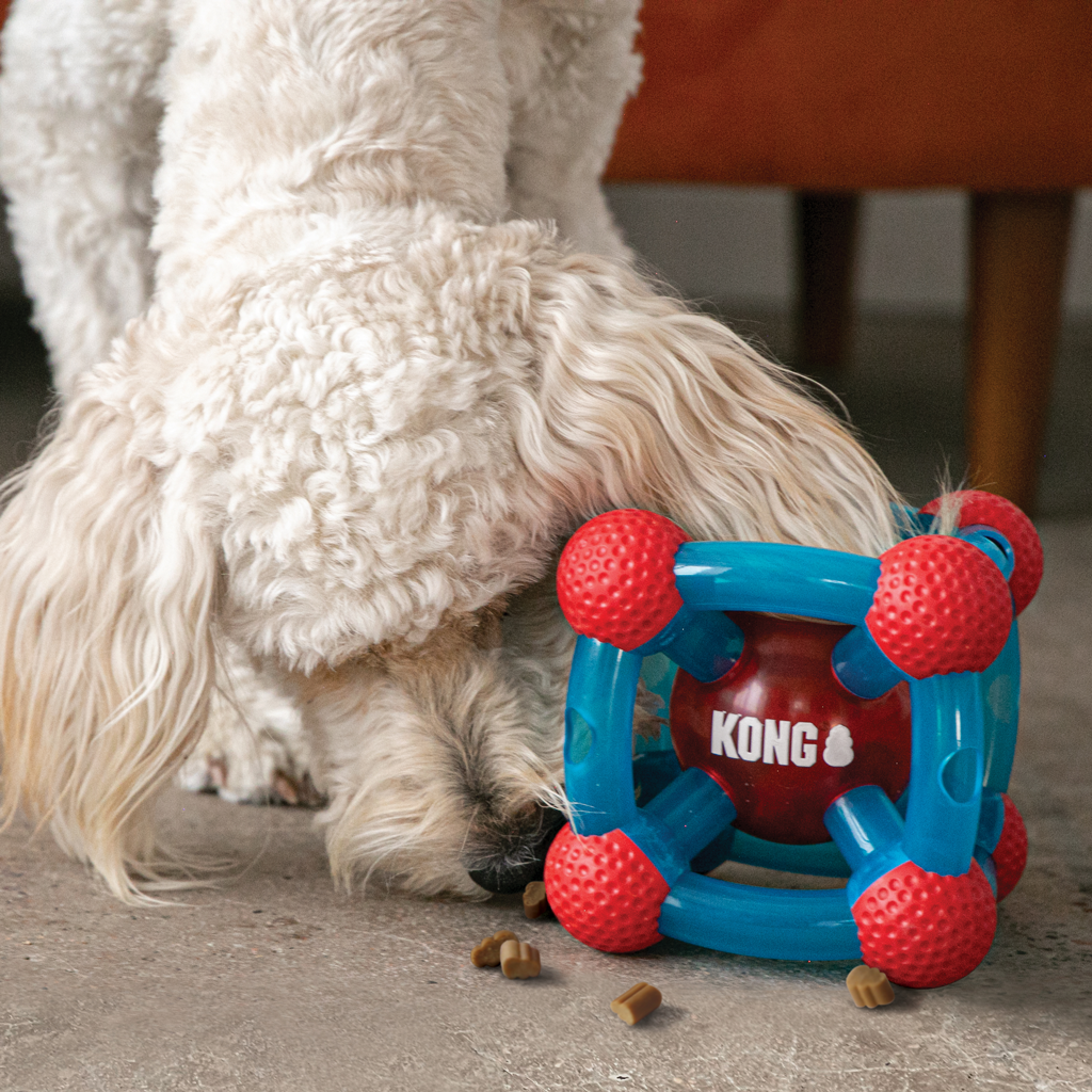 Pet Supplies : KONG Rewards Tinker Md/Lg 