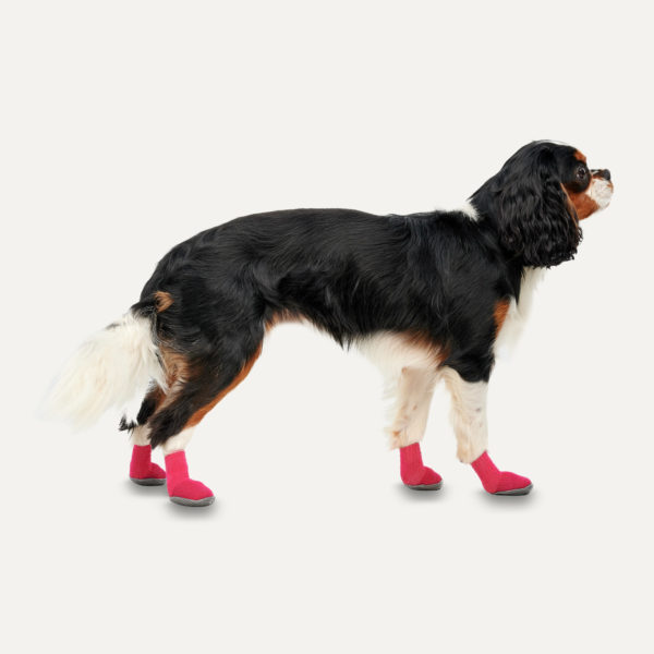 Gooeez Regular Dog Boots (2-pack) 2XS Red/Black - Afbeelding 2