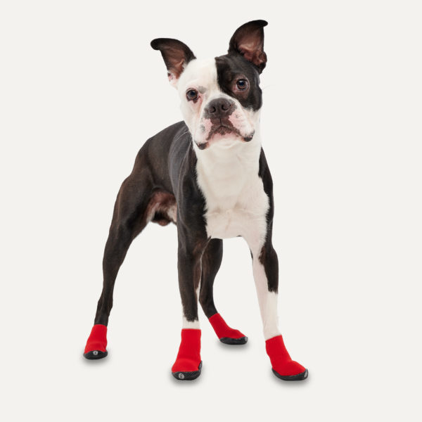 Gooeez Regular Dog Boots (2-pack) 2XS Red/Black - Afbeelding 3