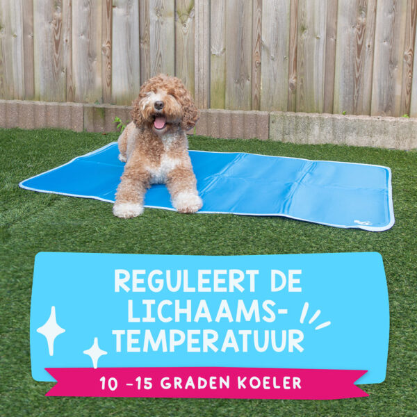 Coolpets Premium Solid Gel Coolmat XS (40x30cm) - Afbeelding 23