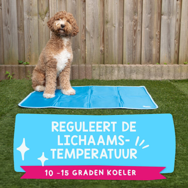 Coolpets Premium Solid Gel Coolmat XS (40x30cm) - Afbeelding 5