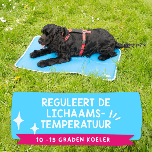 Coolpets Premium Solid Gel Coolmat XS (40x30cm) - Afbeelding 13