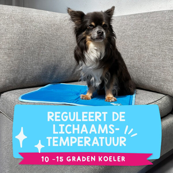 Coolpets Premium Solid Gel Coolmat XS (40x30cm) - Afbeelding 18