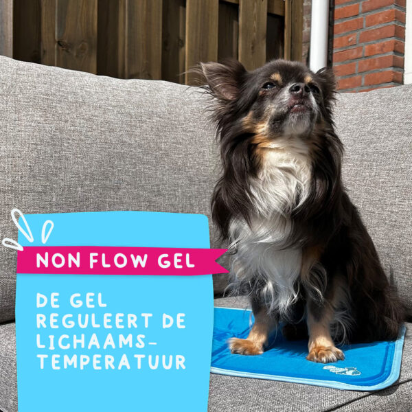 Coolpets Premium Solid Gel Coolmat XS (40x30cm) - Afbeelding 16