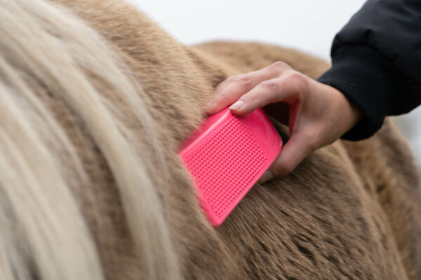 Excellent Horse Grooming Brush Large zwart - Afbeelding 3