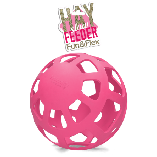 Hay Slowfeeder fun and flex 22 cm Roze Bal