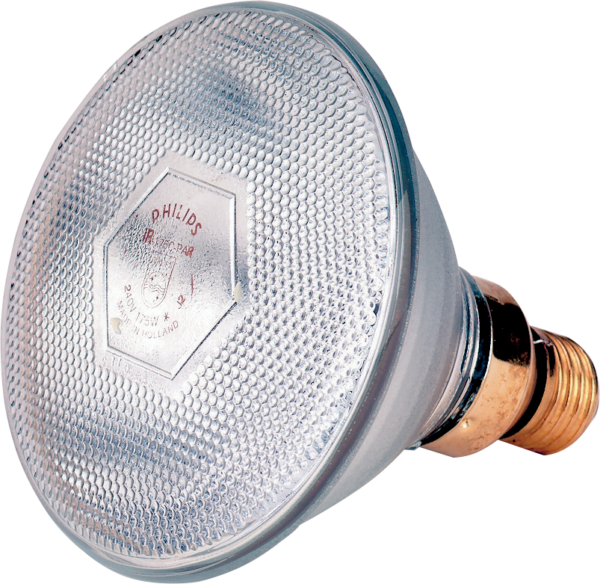 Lamp 100 W wit Philips spaar