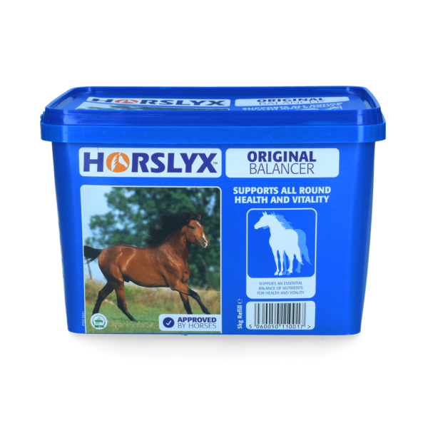 Horslyx Original