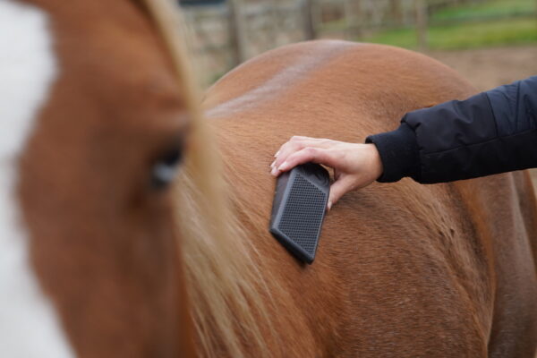 Excellent Horse Grooming Brush Large zwart - Afbeelding 6