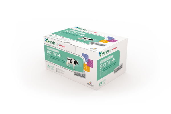 Kersia Bolitrace Biotin+- 1 doos / 20 stuks - Afbeelding 5