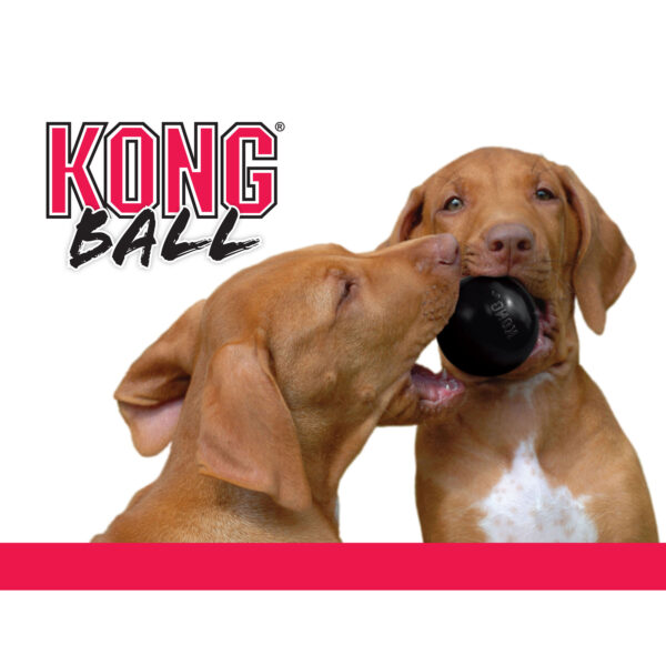 KONG Ball Extreme S 6,3 cm - Afbeelding 4