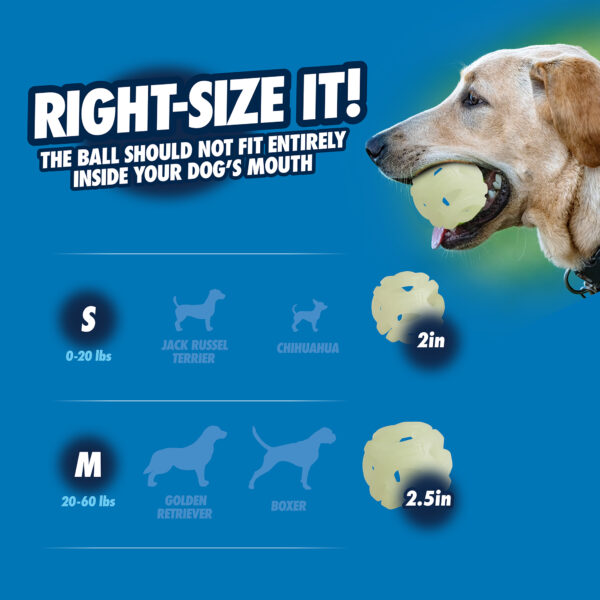 Chuckit Max glow air fetch ball S 2pk - Afbeelding 9