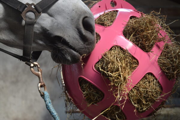 Hay Slowfeeder groen diam. 40 cm kunstst - Afbeelding 5