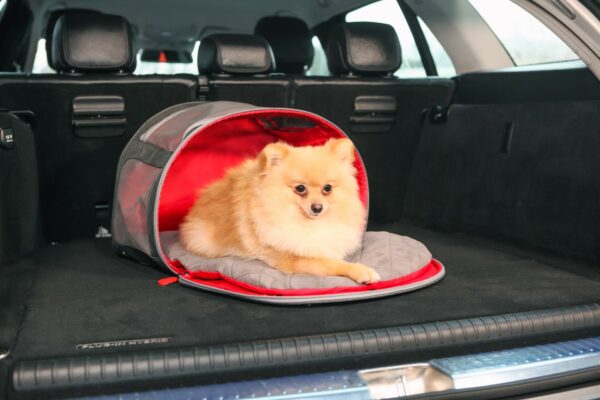 KONG 2-In-1 Pet Carrier and Travel Mat - Afbeelding 6