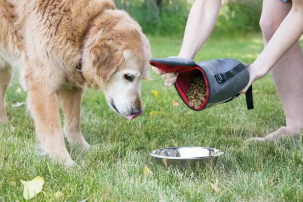 KONG Kibble Storage Bag - Afbeelding 2