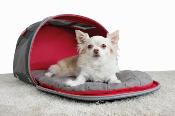 KONG 2-In-1 Pet Carrier and Travel Mat - Afbeelding 3