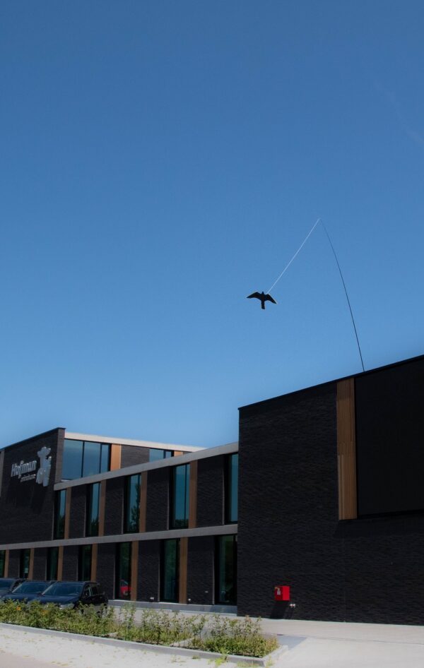 Knock Pest Vogel Verschrikker vlieger co - Afbeelding 6