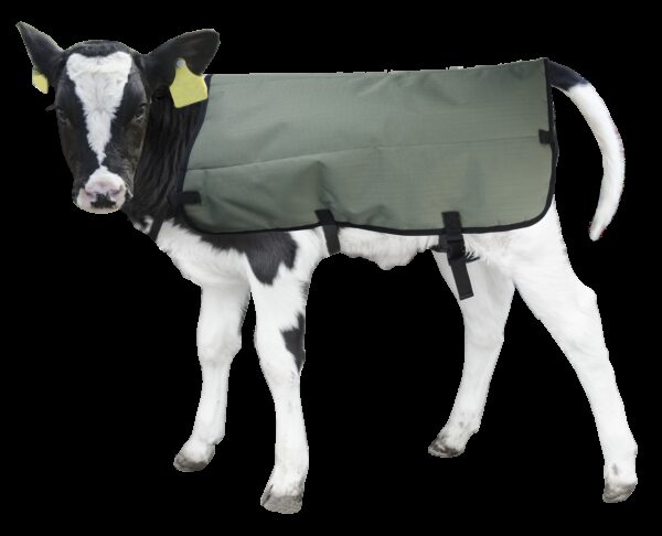 Kalverdek Calf Coat 80 cm - Afbeelding 5