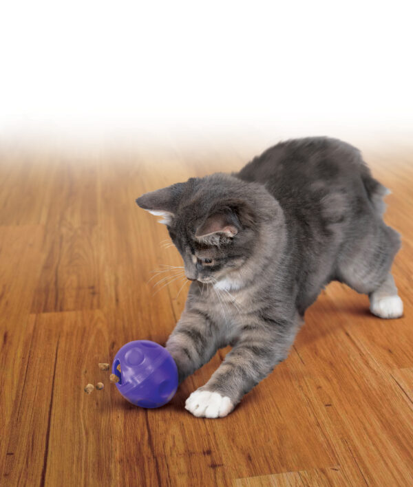 KONG Cat Treat Ball - Afbeelding 2