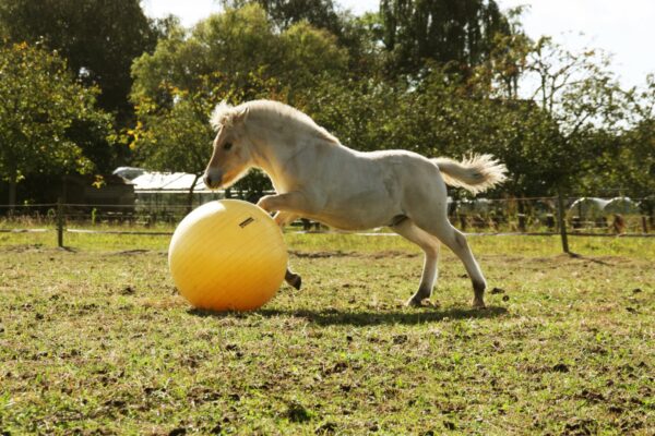 Maximus Power Play Ball 100cm - Afbeelding 4