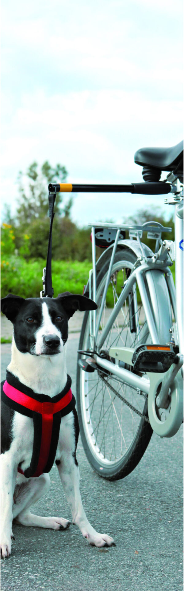 Pawise Hands Free Doggy Bike Exerciser L - Afbeelding 3