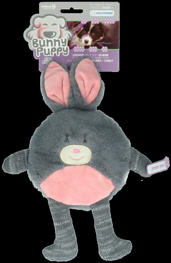 Bunny Puppy Flat Rabbit - Afbeelding 2