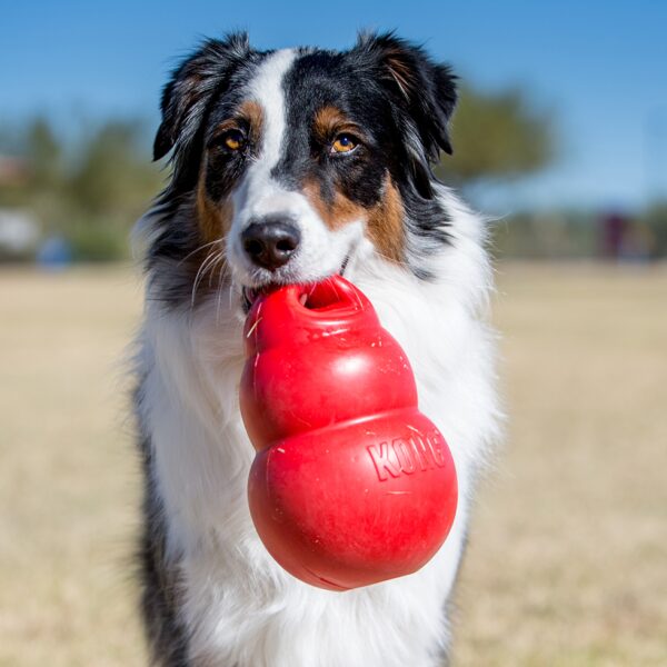 KONG Bounzer Medium - Afbeelding 3