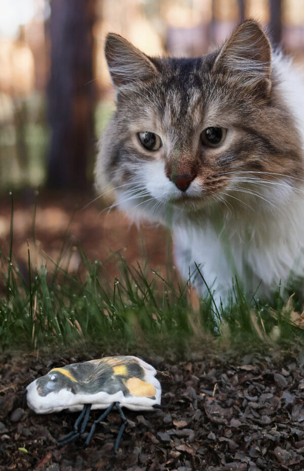 Wild Life Cat Hommel - Afbeelding 2