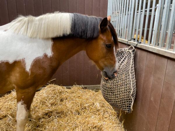 Hay Slowfeeder net 5 kg pony dubbelnet - Afbeelding 3