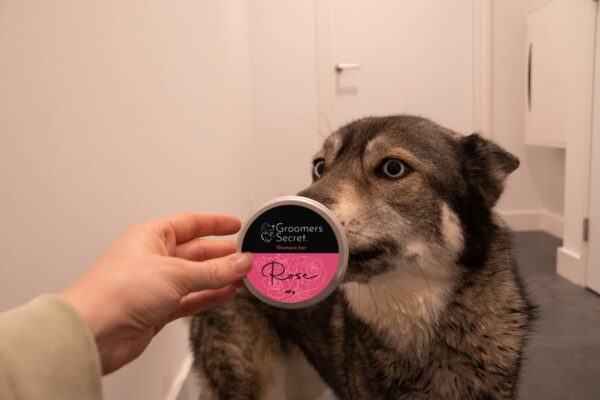 Groomers Secret Shampoo bar Rose - Afbeelding 2