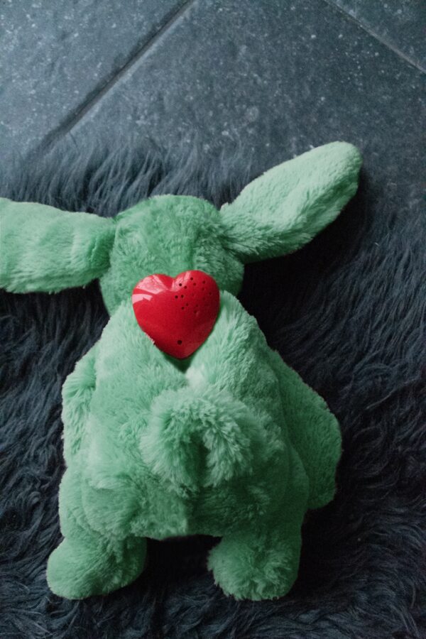 Cozy Dog Bunny Green - Afbeelding 4