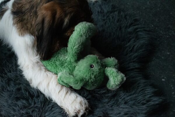 Cozy Dog Bunny Green - Afbeelding 3