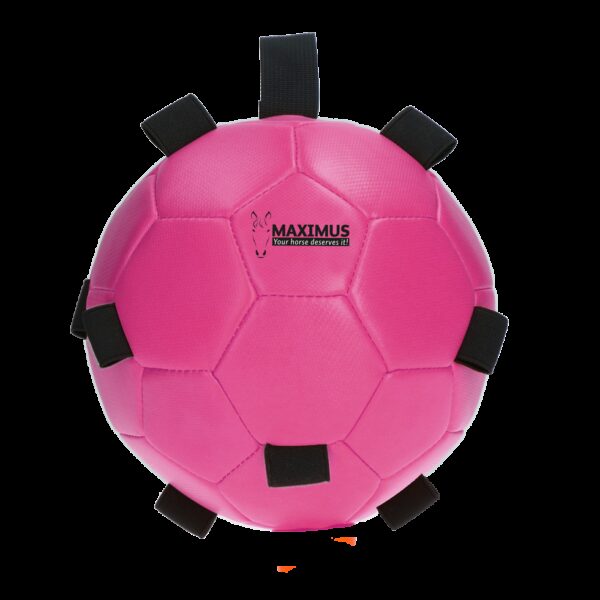 Maximus Fun Play Ball Pink - Afbeelding 4