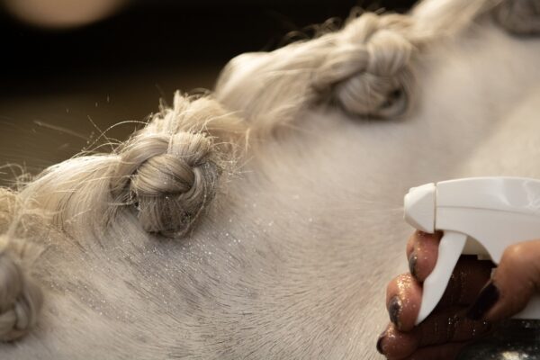 Lucky Horse Unicorn Gouden glitter Spray - Afbeelding 5