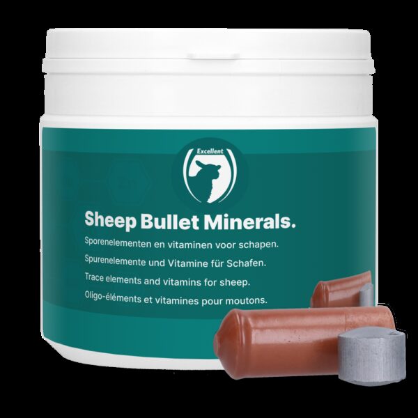 Sheep Bullet Minerals - Afbeelding 2