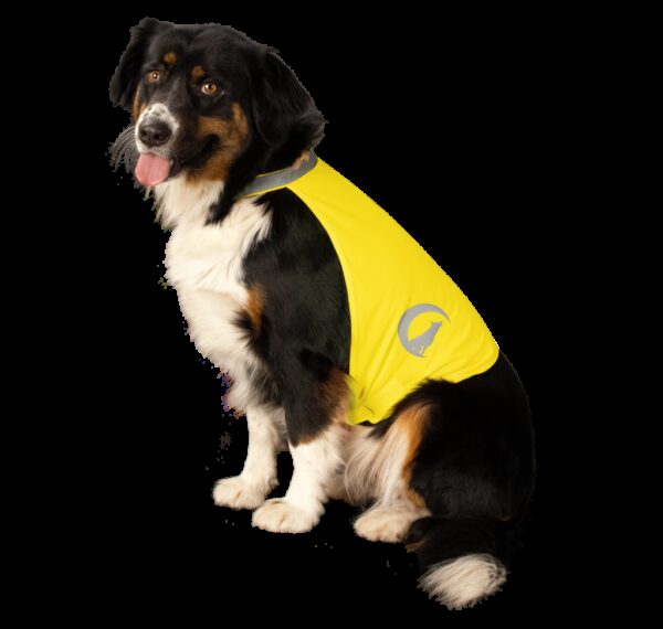 Nightwalk Dog Safety Vest Yellow Small