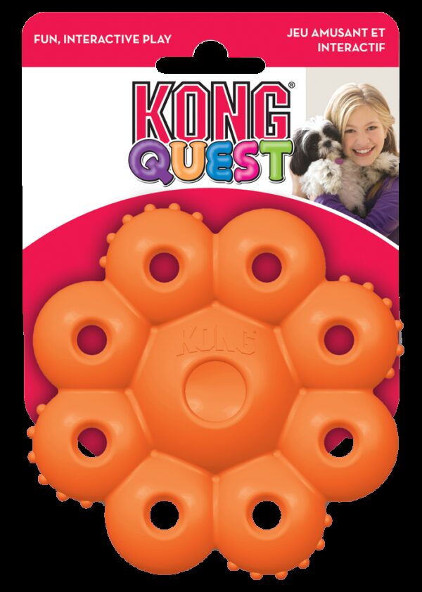 KONG Quest Star Pods Small