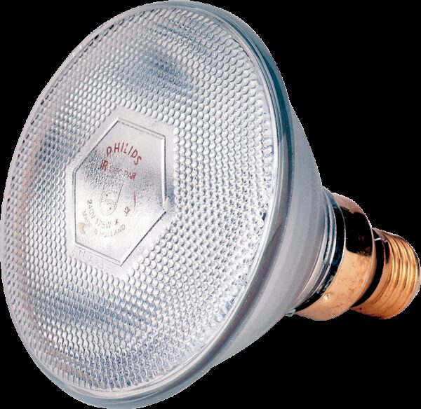 Lamp 100 W wit Philips spaar - Afbeelding 2