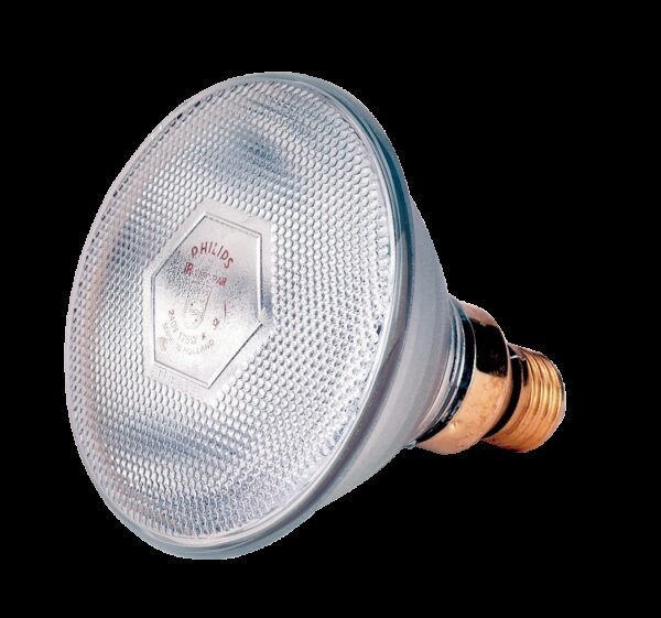 Lamp 100 W wit Philips spaar