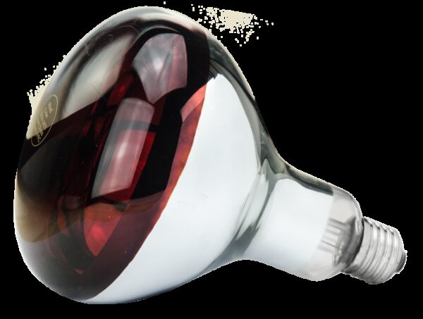 Lamp 150 W infrarood Hard Glas