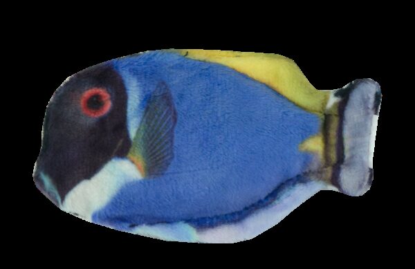 Wild Life Cat Blue Tang (Blauwe Doktersv - Afbeelding 2