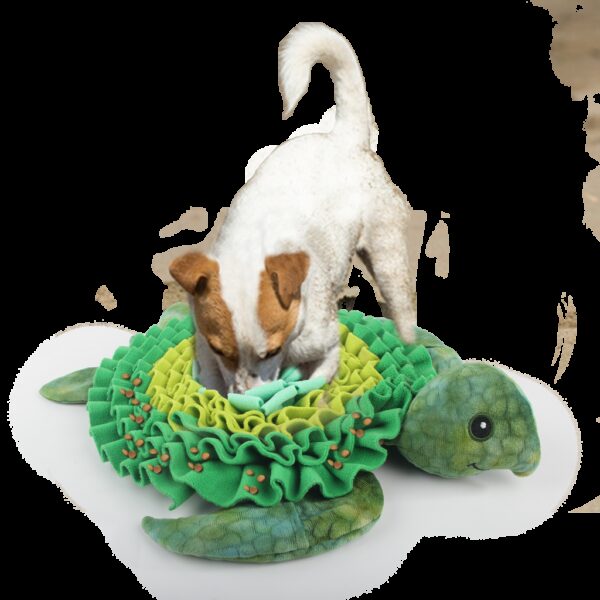 AFP  Dig It - Sea Turtle Treat Mat