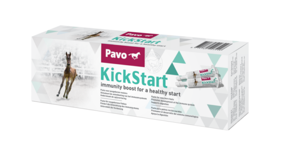 Pavo KickStart