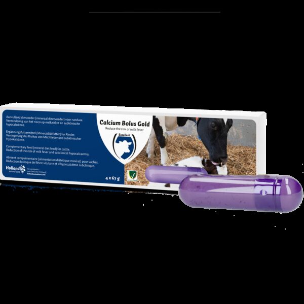 Calcium Bolus Gold